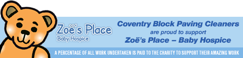 Zoes place